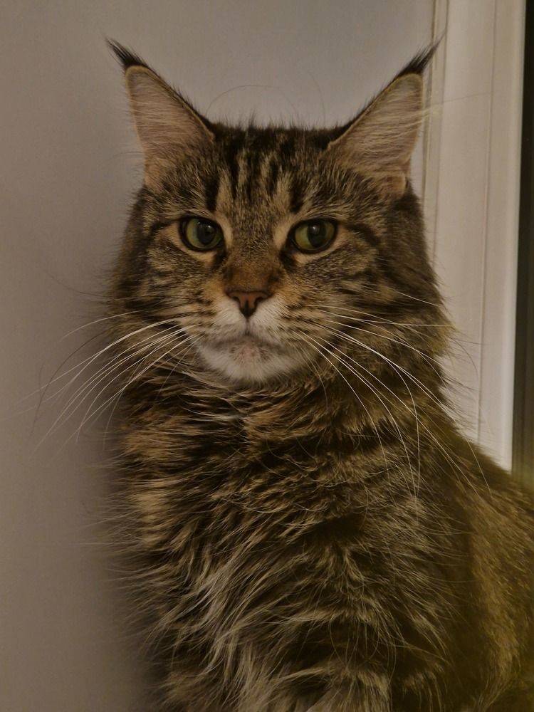 Photograph by Илья