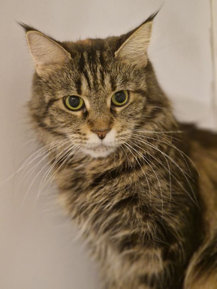 Photograph by Илья