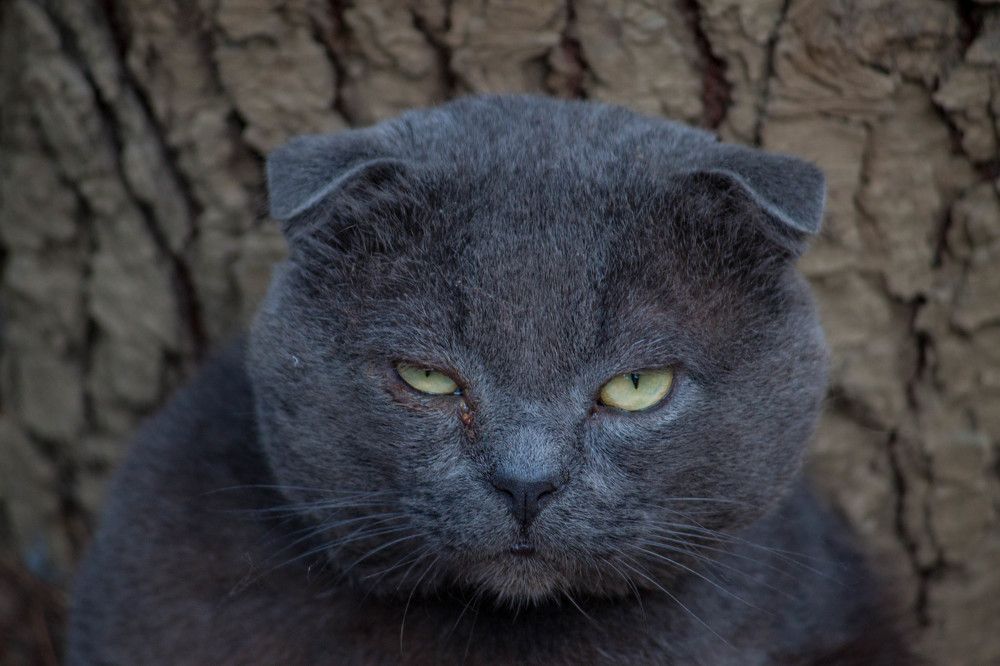 Photograph by Владислав Капанов