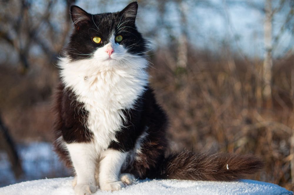 Photograph by Владислав Капанов