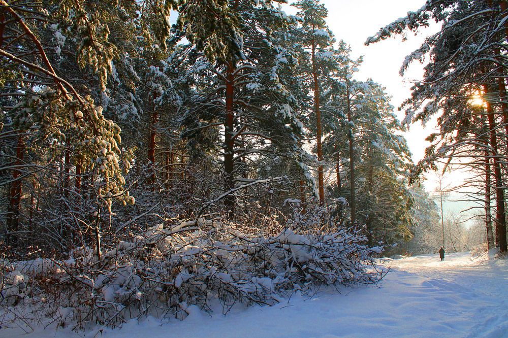 Photograph by Курочкина Диана