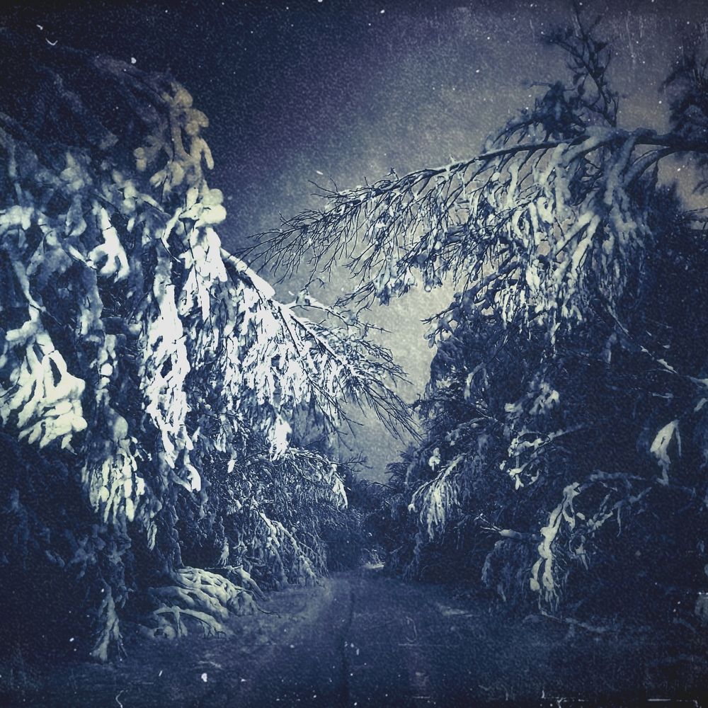 Photograph by Илья