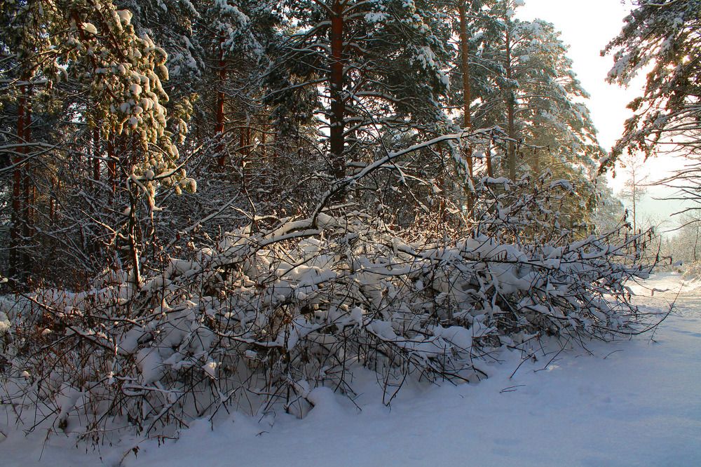 Photograph by Курочкина Диана