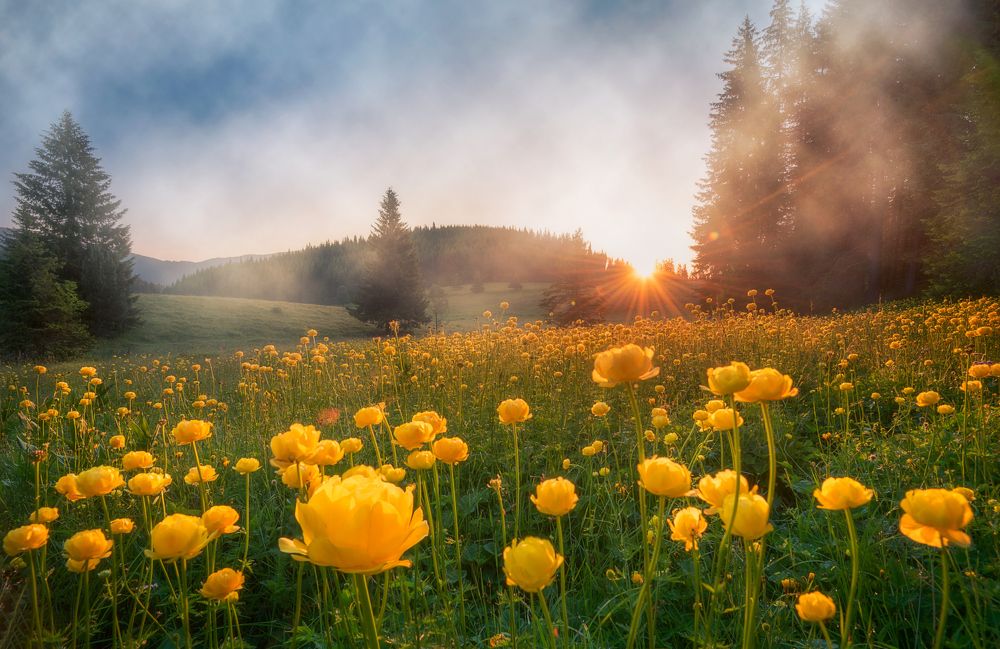 Фотография автора Mariyana Atanasova - Lucero