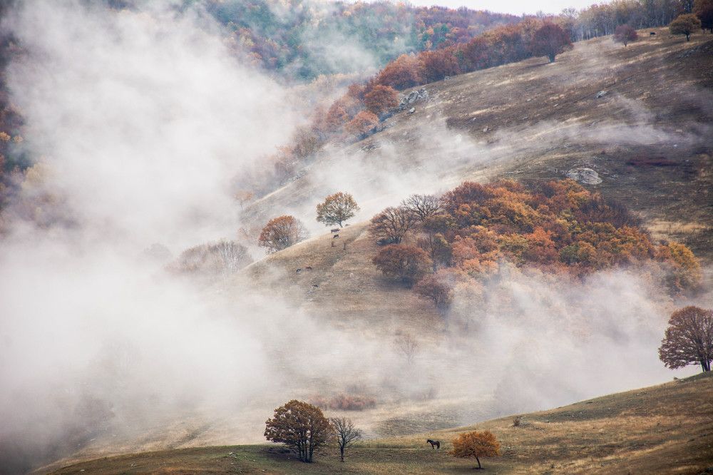 Photograph by Матвей Иванов