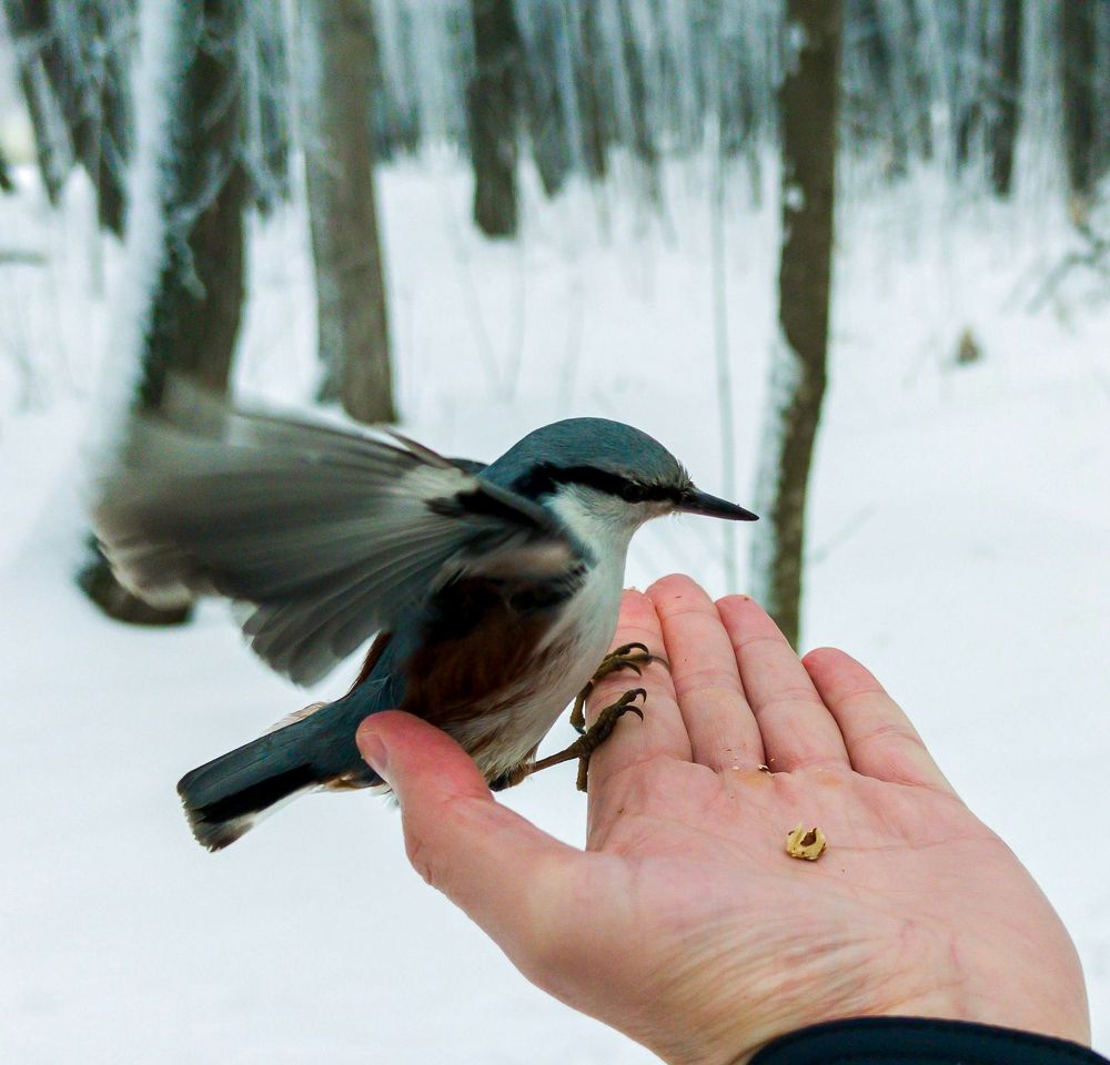 Фотография автора Александр А.