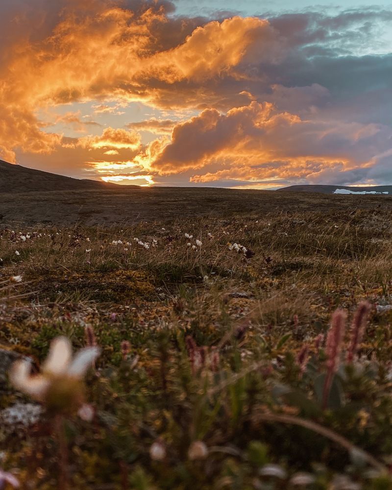 Photograph by Козинец Александр