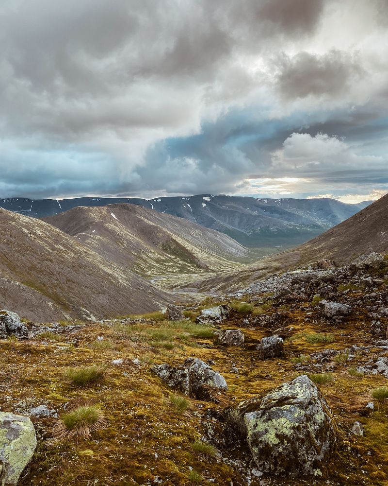 Photograph by Козинец Александр