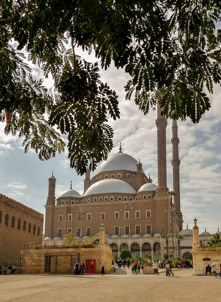 Photograph by Reem Abo eissa