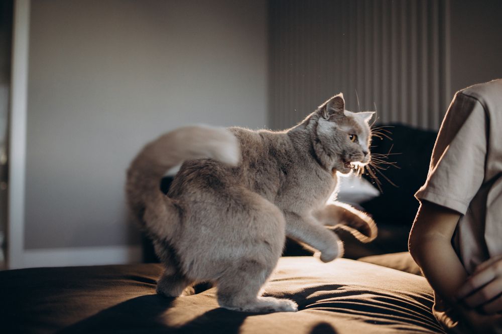 Photograph by Екатерина Абонеева