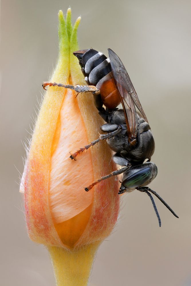 Photograph by Кузнецов Дмитрий