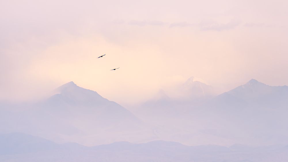 Волшебный край