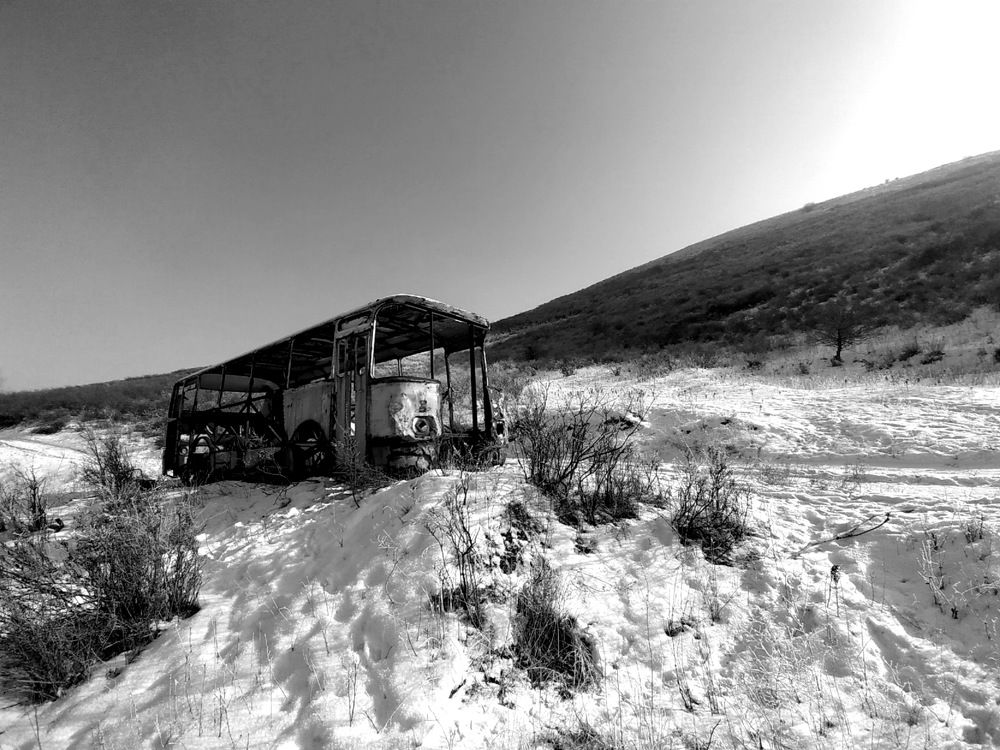 Photograph by Ковалёв Виталий