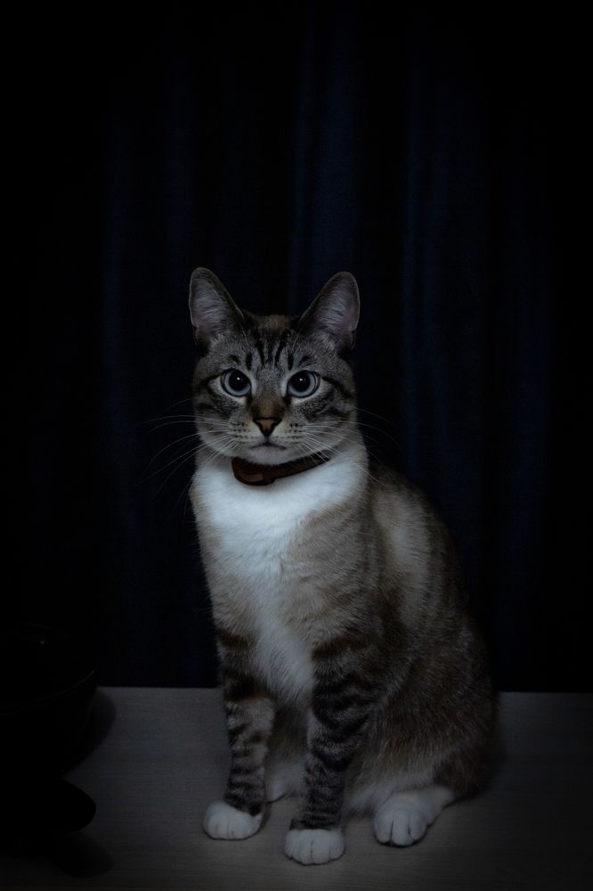 Photograph by Ольга Абрамова