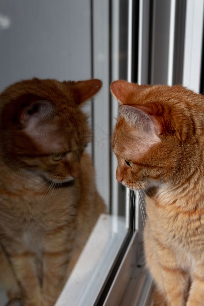 Photograph by Ольга Абрамова