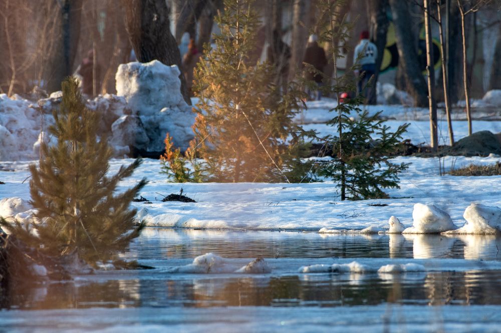 Photograph by Александр Перегудов