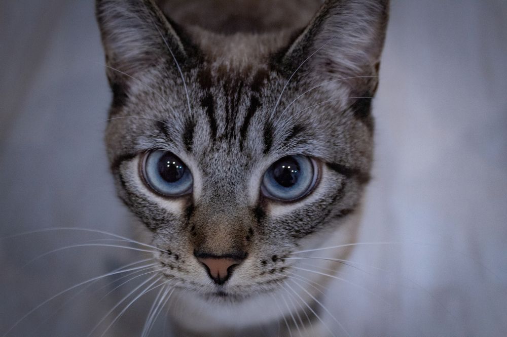 Photograph by Ольга Абрамова