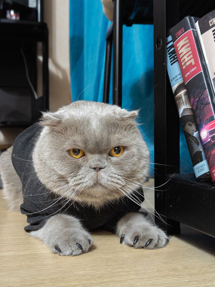 Photograph by Alexander Lonsdale