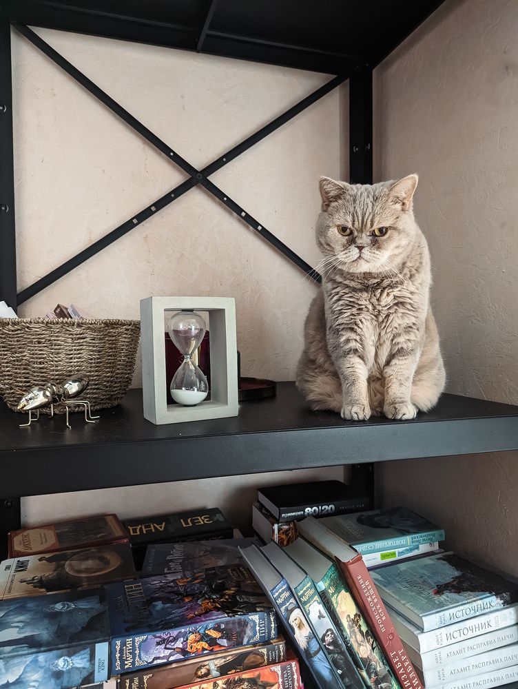 Photograph by Alexander Lonsdale