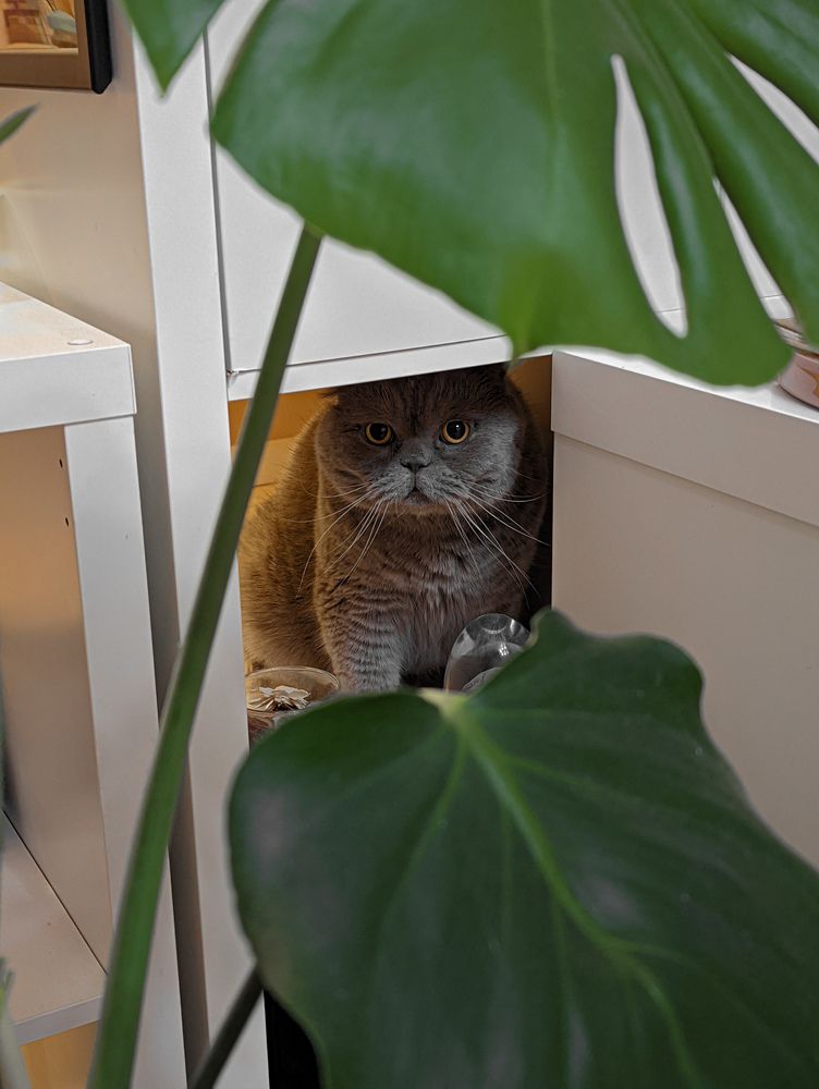 Photograph by Alexander Lonsdale