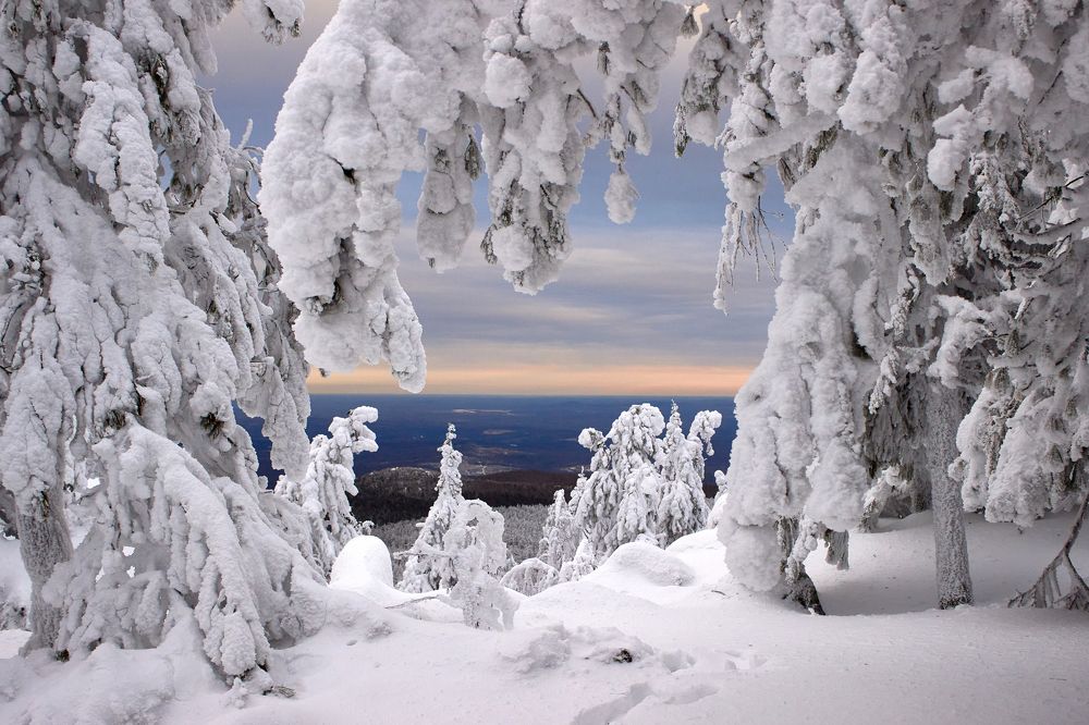 Photograph by Ксения