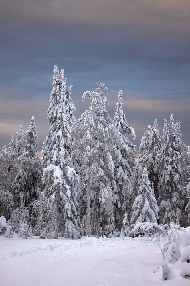 Photograph by Ксения