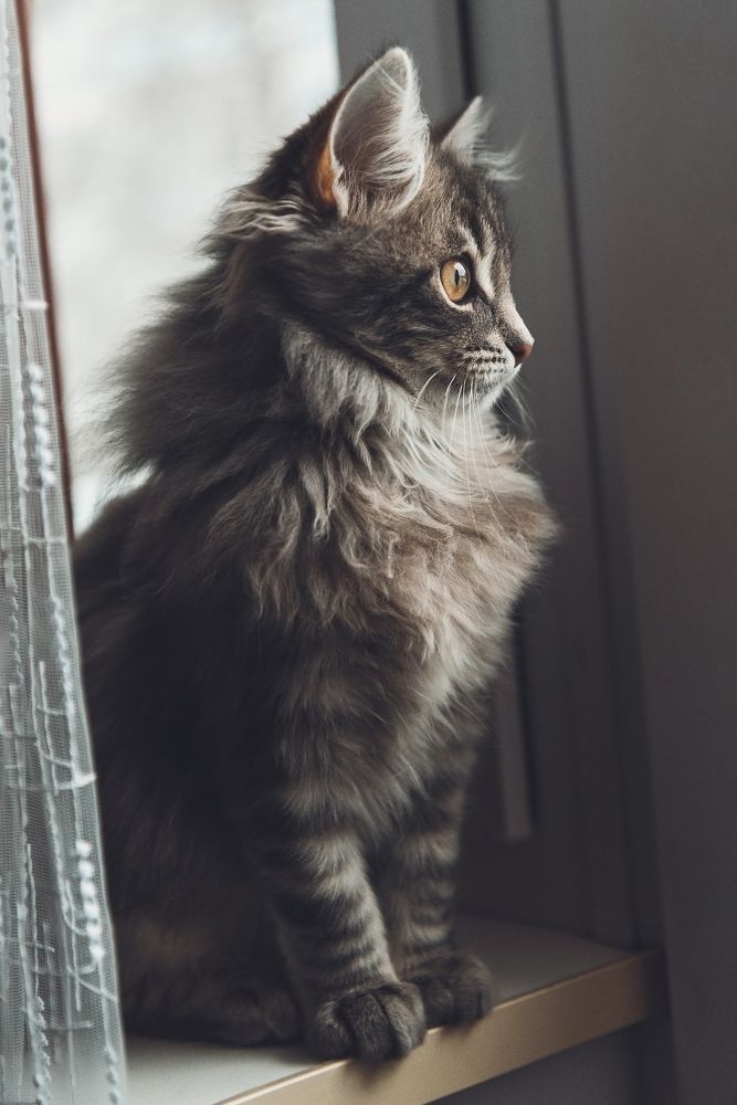 Photograph by Иван Белоусов