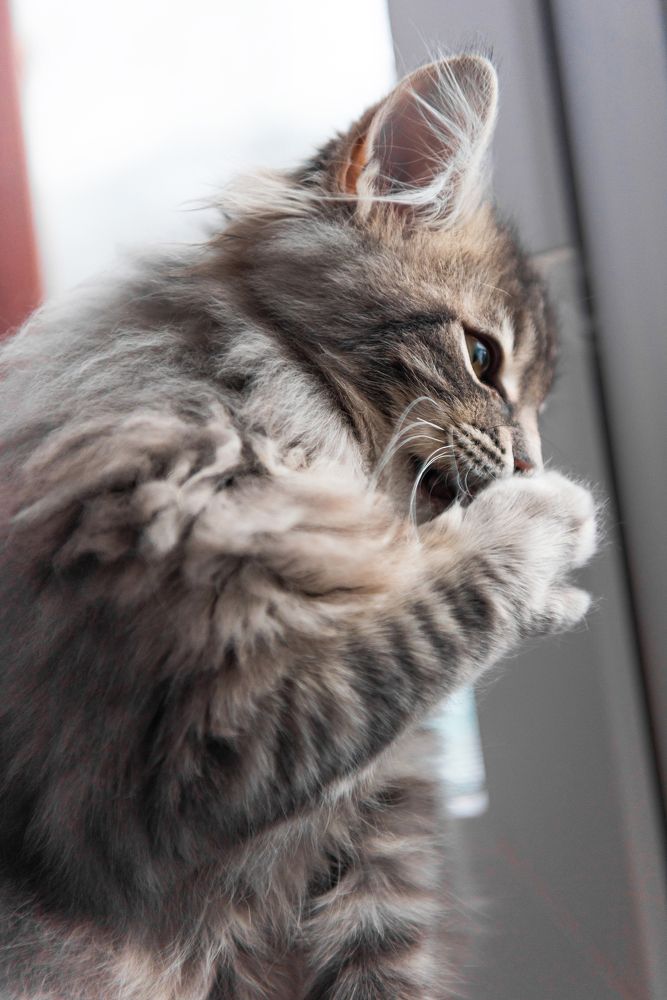 Photograph by Иван Белоусов