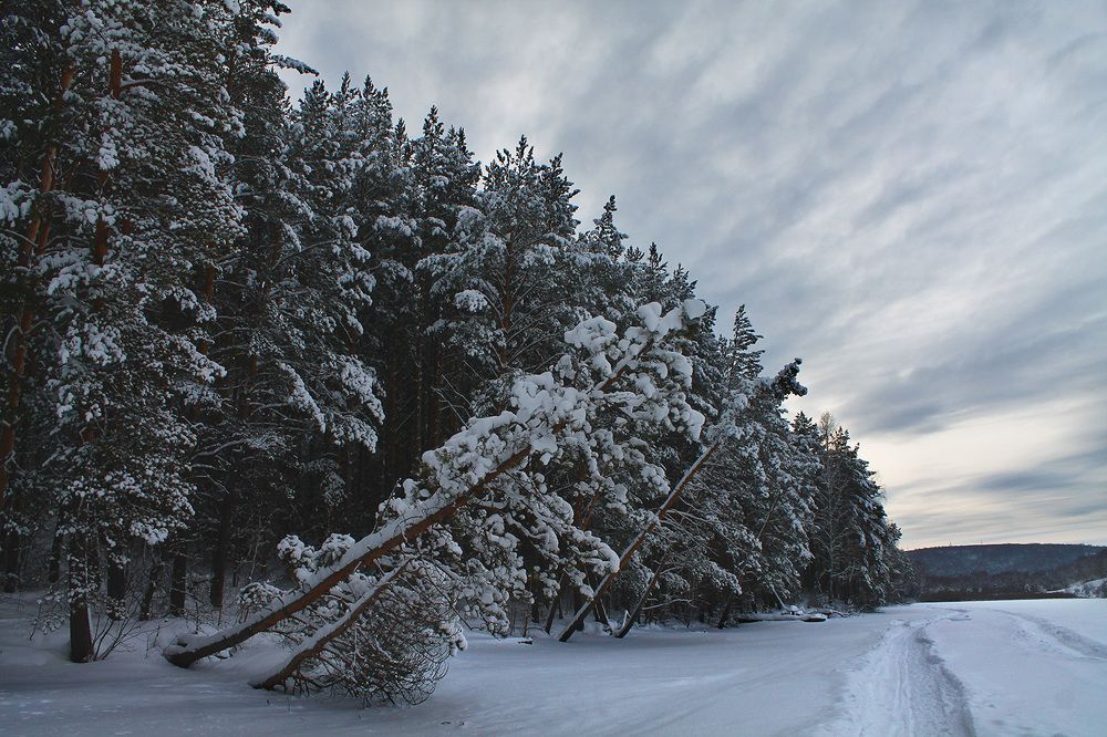 Photograph by Курочкина Диана