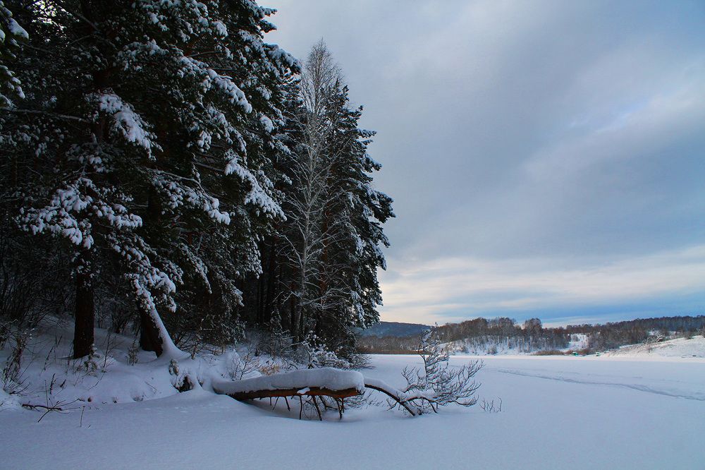 Photograph by Курочкина Диана