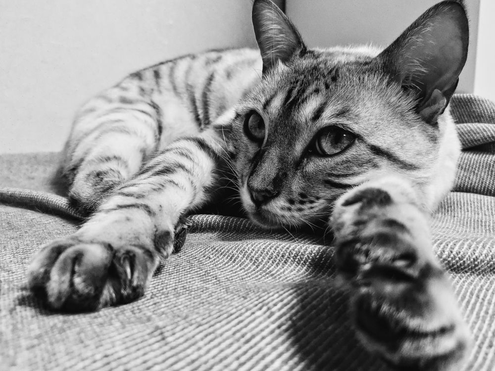 Photograph by Ольга Мажарук