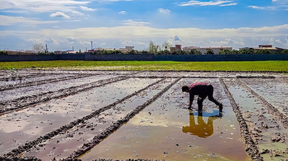 Photograph by mahdi ghanbari