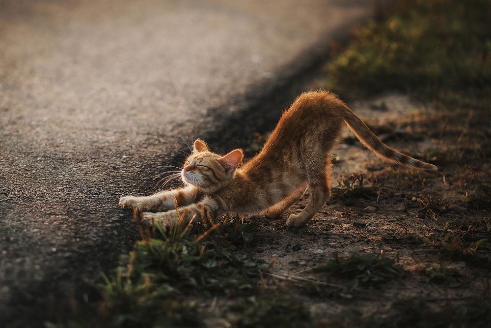 Photograph by Сальников Евгений