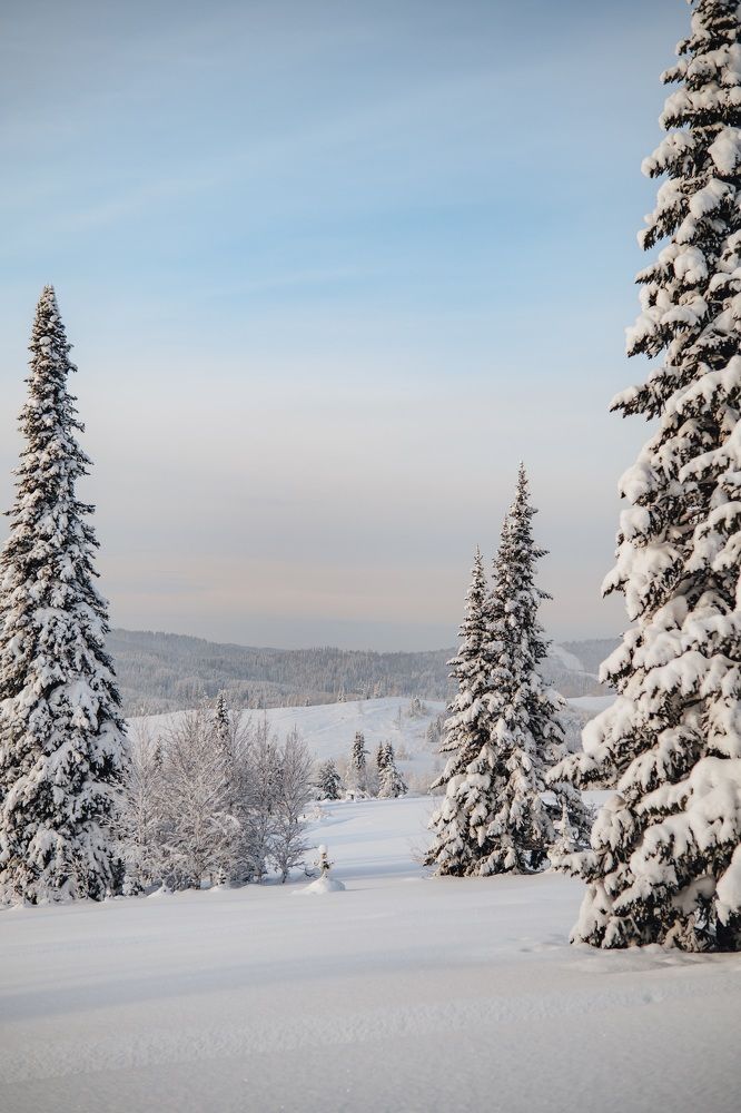 Photograph by Nataly Cook