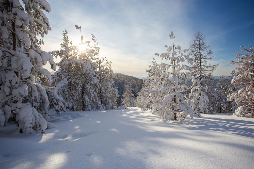 Фотография автора Лукьянов Евгений