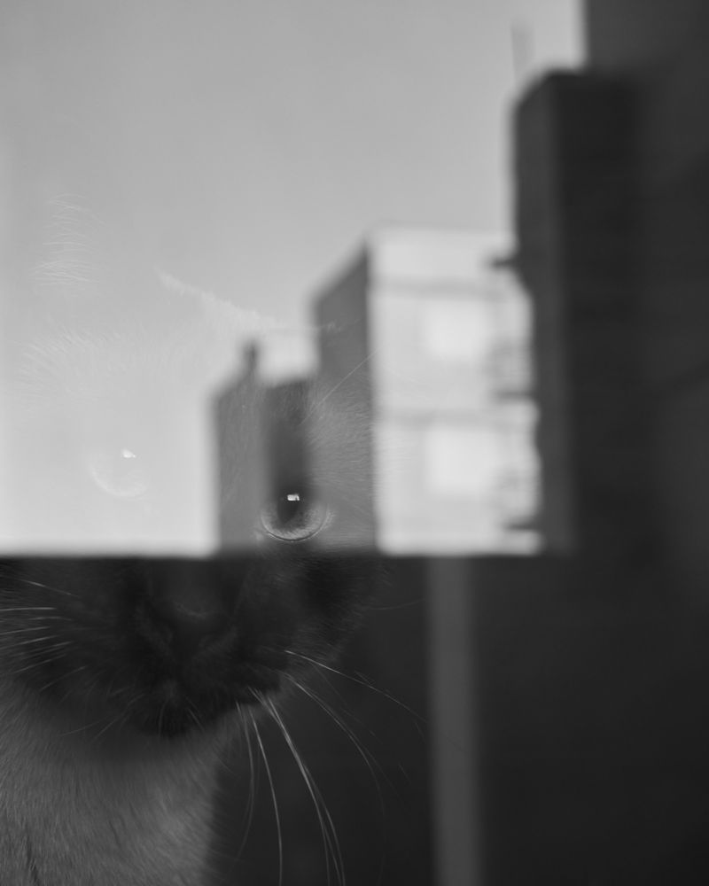 Фотография автора Santiago Diaz Aragon