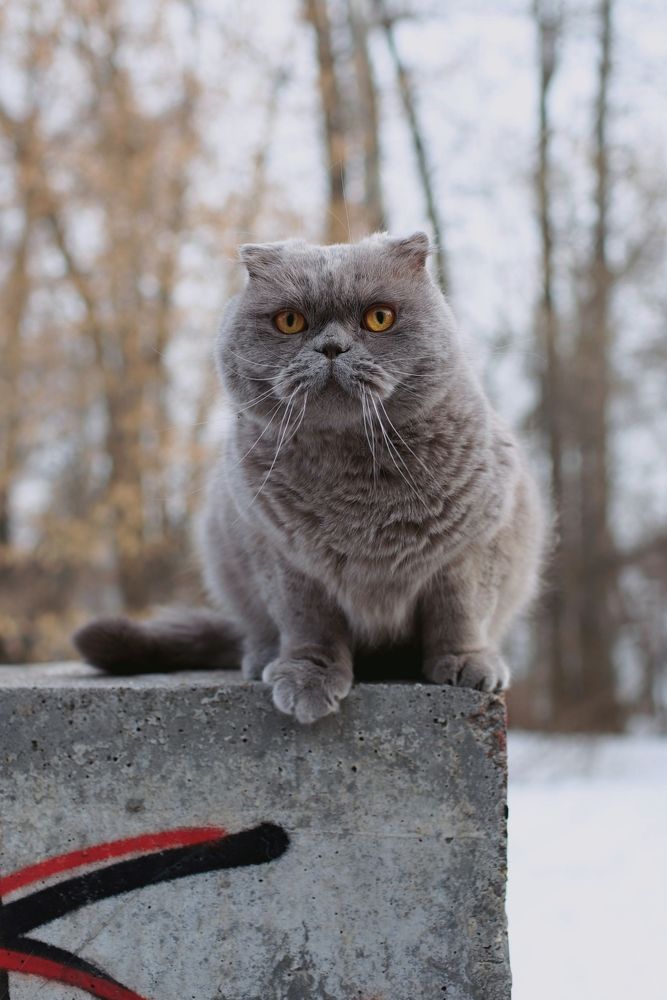 Photograph by Alexander Lonsdale