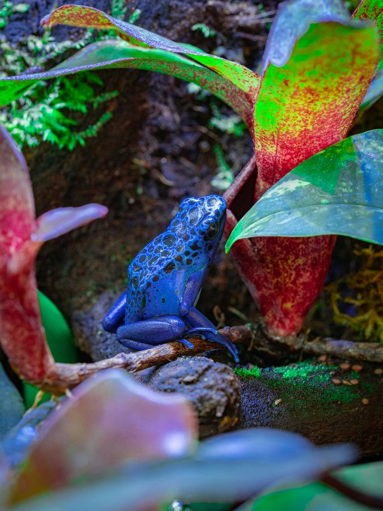 Photograph by Olga Link