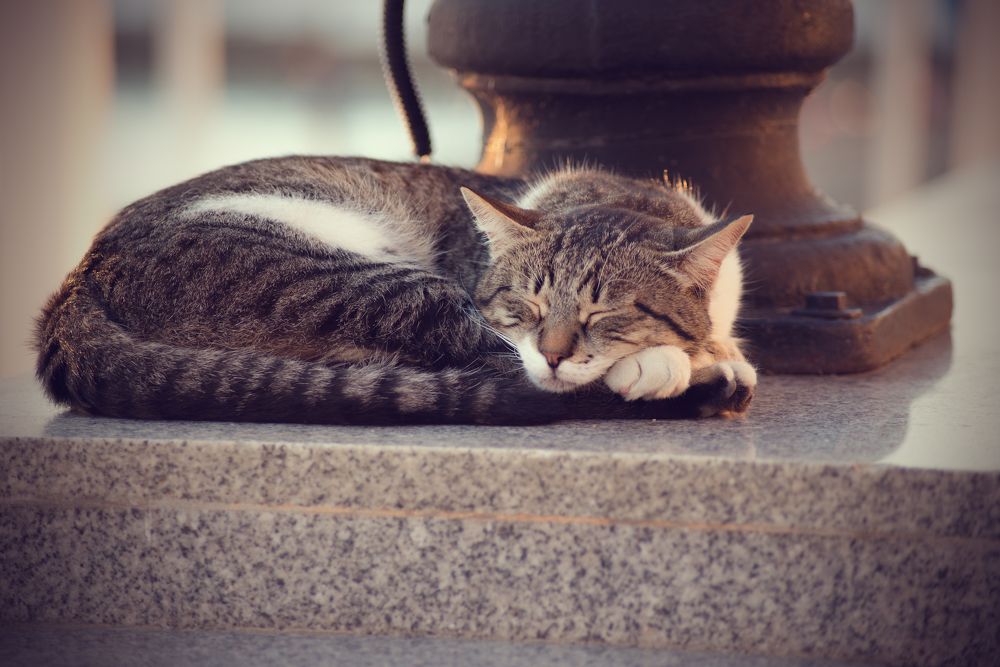 Photograph by Константин Гудков