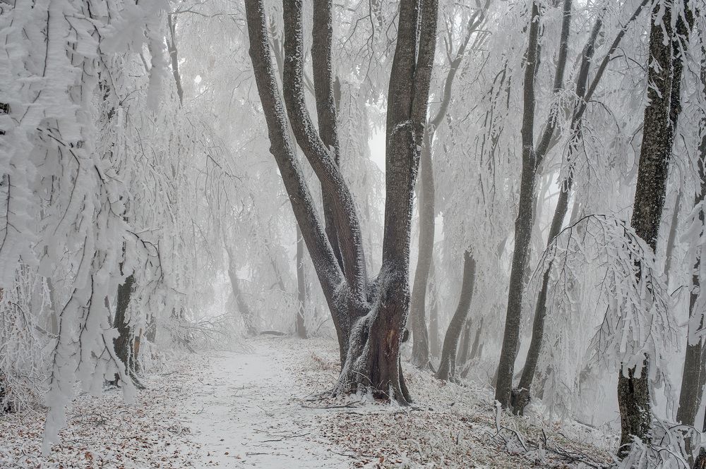 Photograph by Хасан Журтов