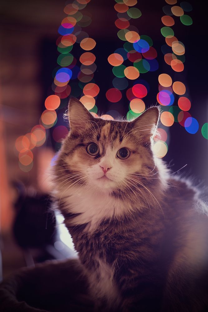 Photograph by Константин Гудков