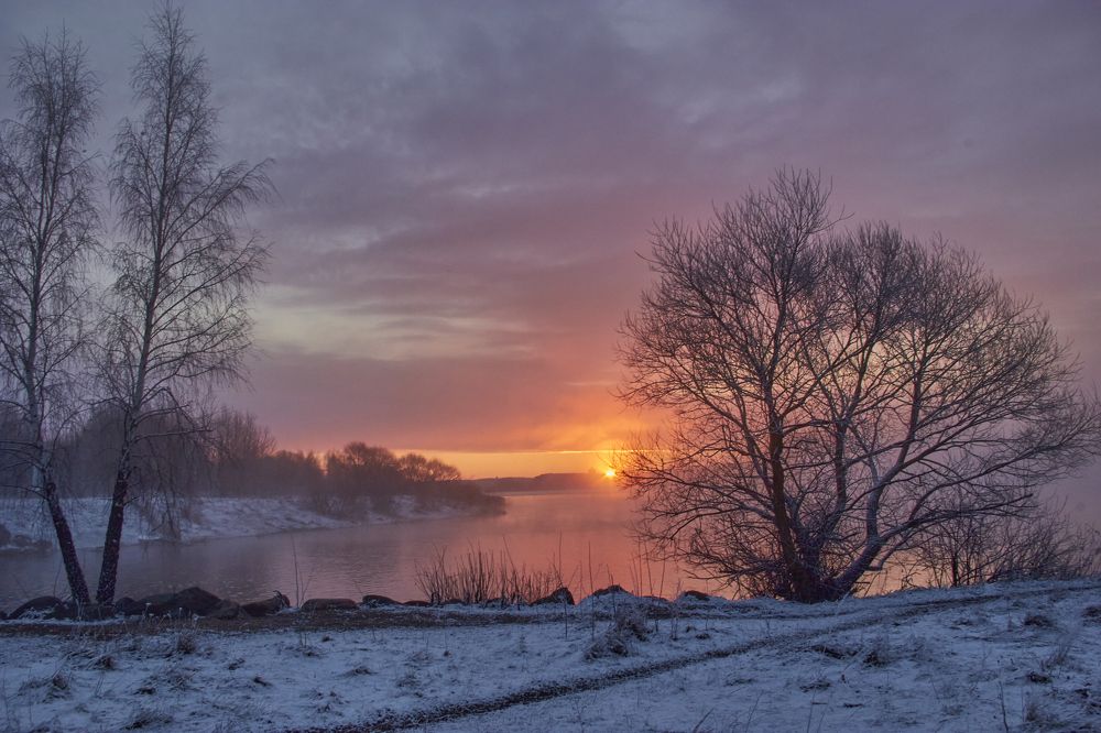 Photograph by Шелепнёва Лина