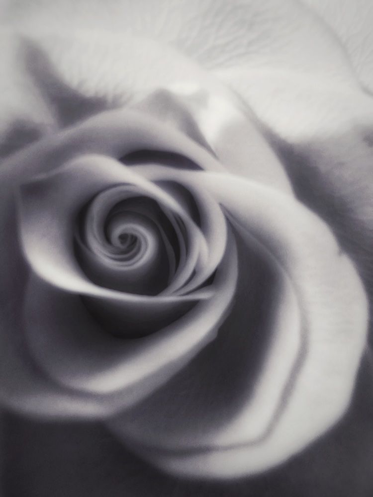 Photograph by Екатерина Цыбулькина