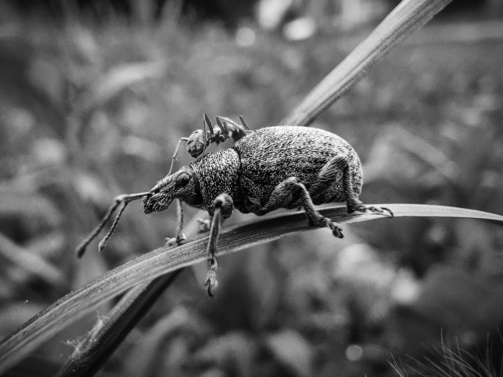 Photograph by Kate Maximenko