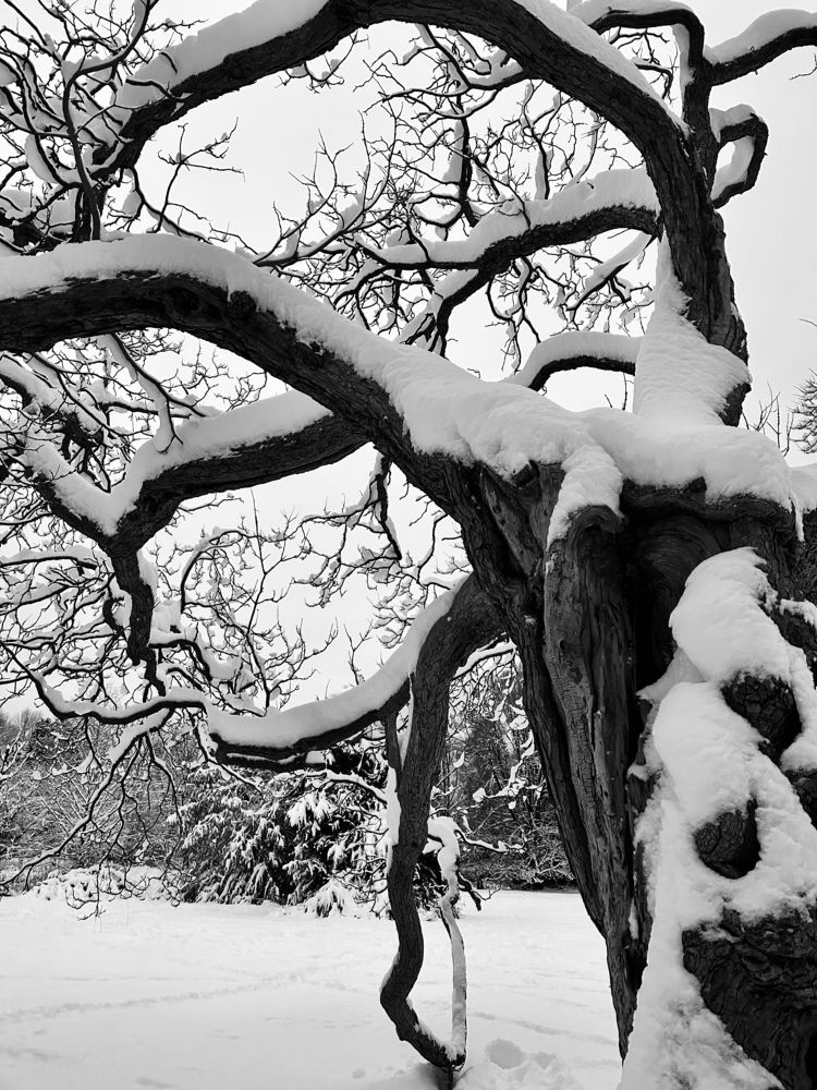 Photograph by Yana Bobrova