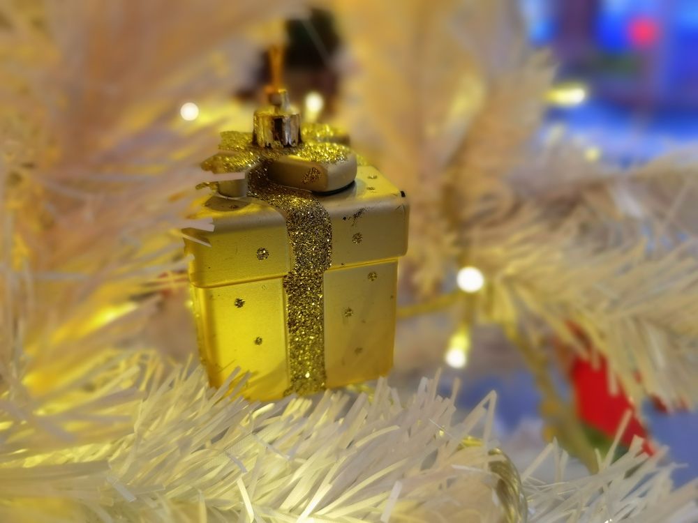 Photograph by Kate Maximenko