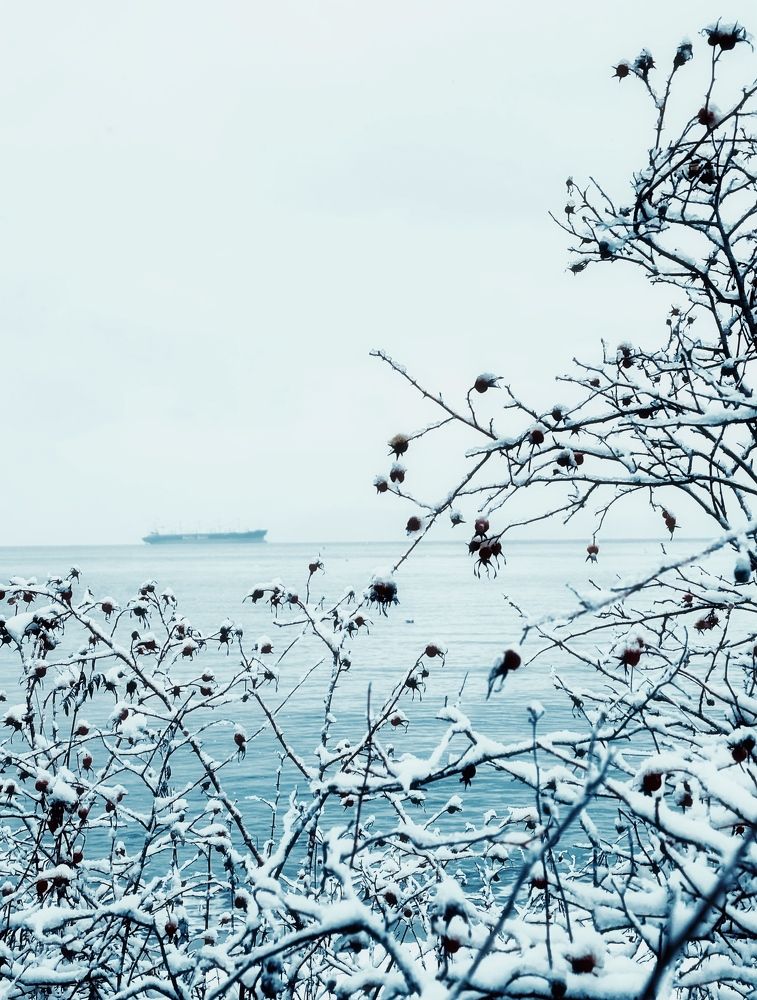 Photograph by Yana Bobrova