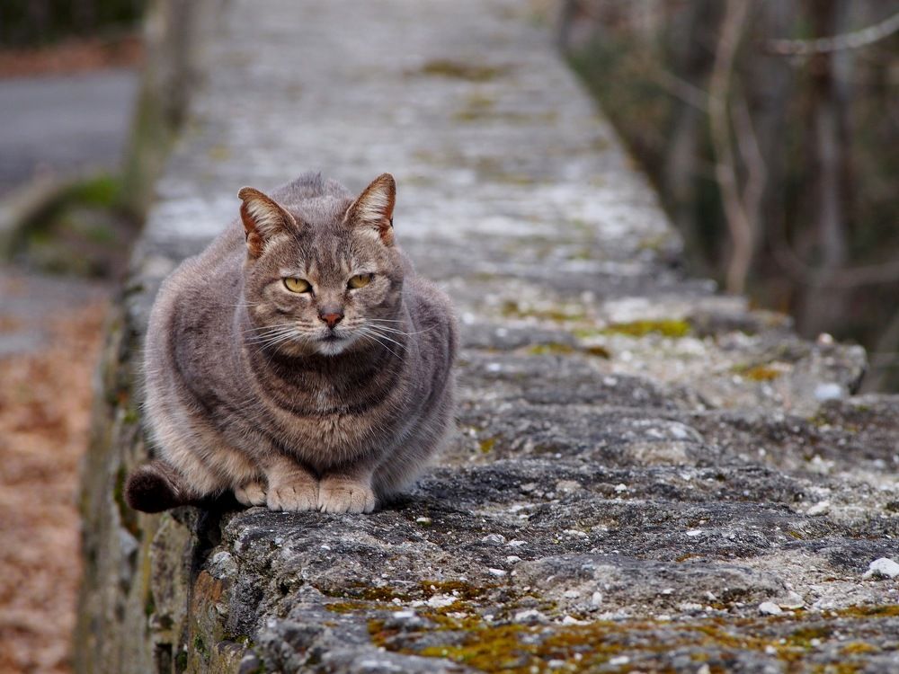 Photograph by Ольга Лысенко