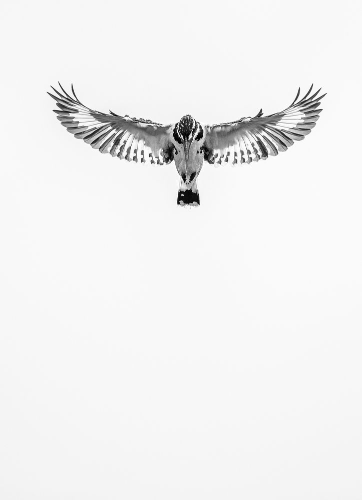 Photograph by Dilan Jayawickrama