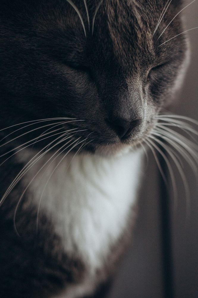 Photograph by Гузель Миникаева